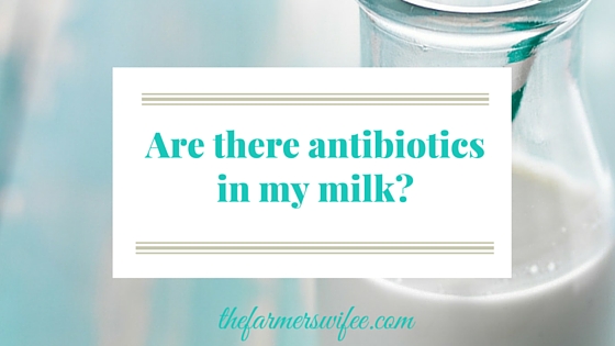 Are there antibiotics in my milk?