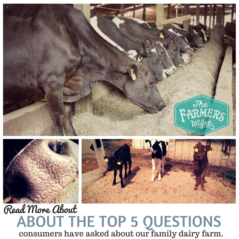 Top 5 Concerns Consumers Have About Our Farm