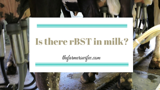 Is there rBST in milk?