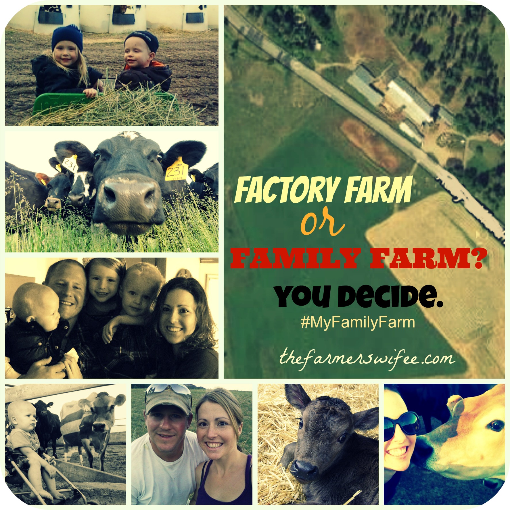 Factory Farm or Family Farm? You Decide.