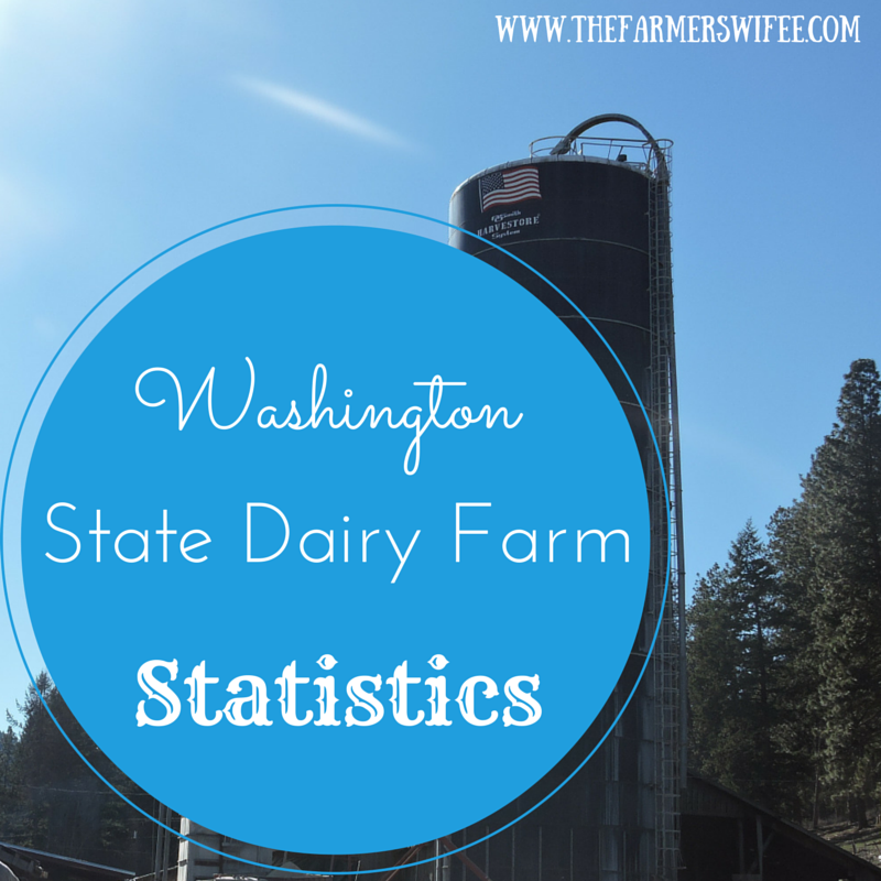 Washington State Dairy Farm Statistics